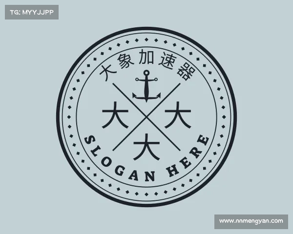 发现大象加速器